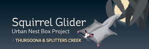 Squirrel Glider Urban Nest Box Project_masthead_large