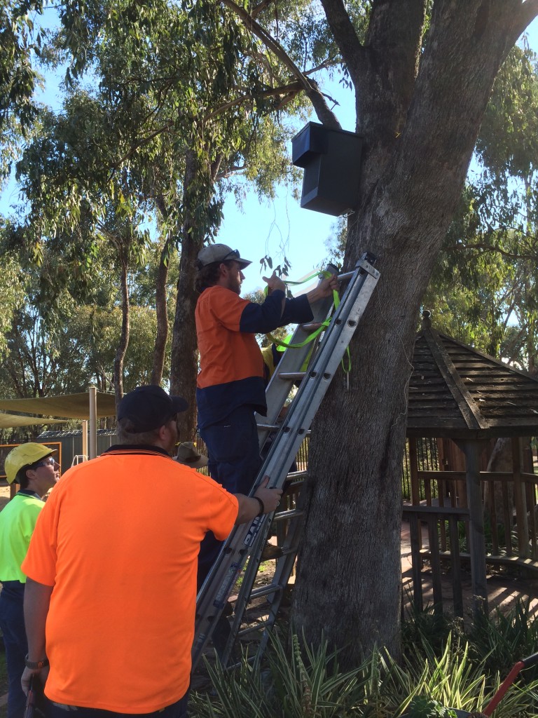 Squirrel Glider nest boxes being installed by Parklands Albury Wodonga at Thurgoona Preschool (2 May 2015)