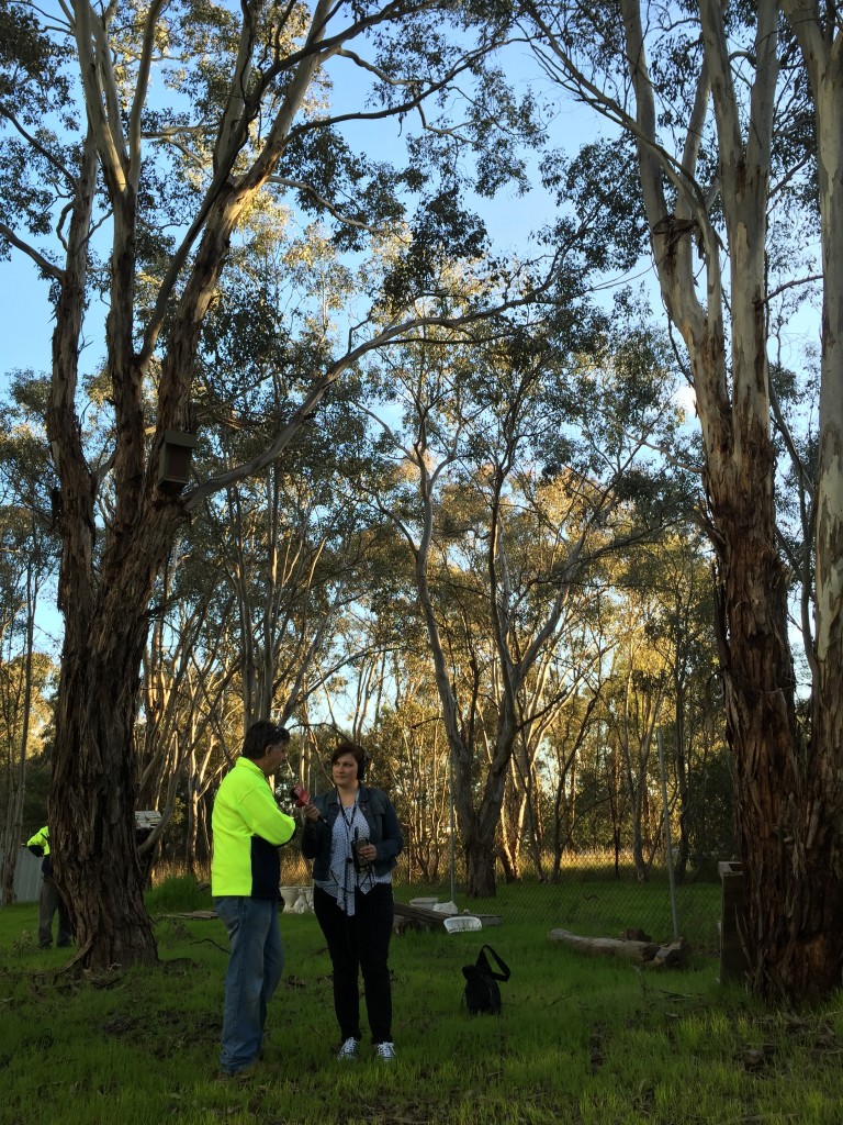 ABC Open Interview with Bruce Dyce, President of Thurgoona Mens Shed