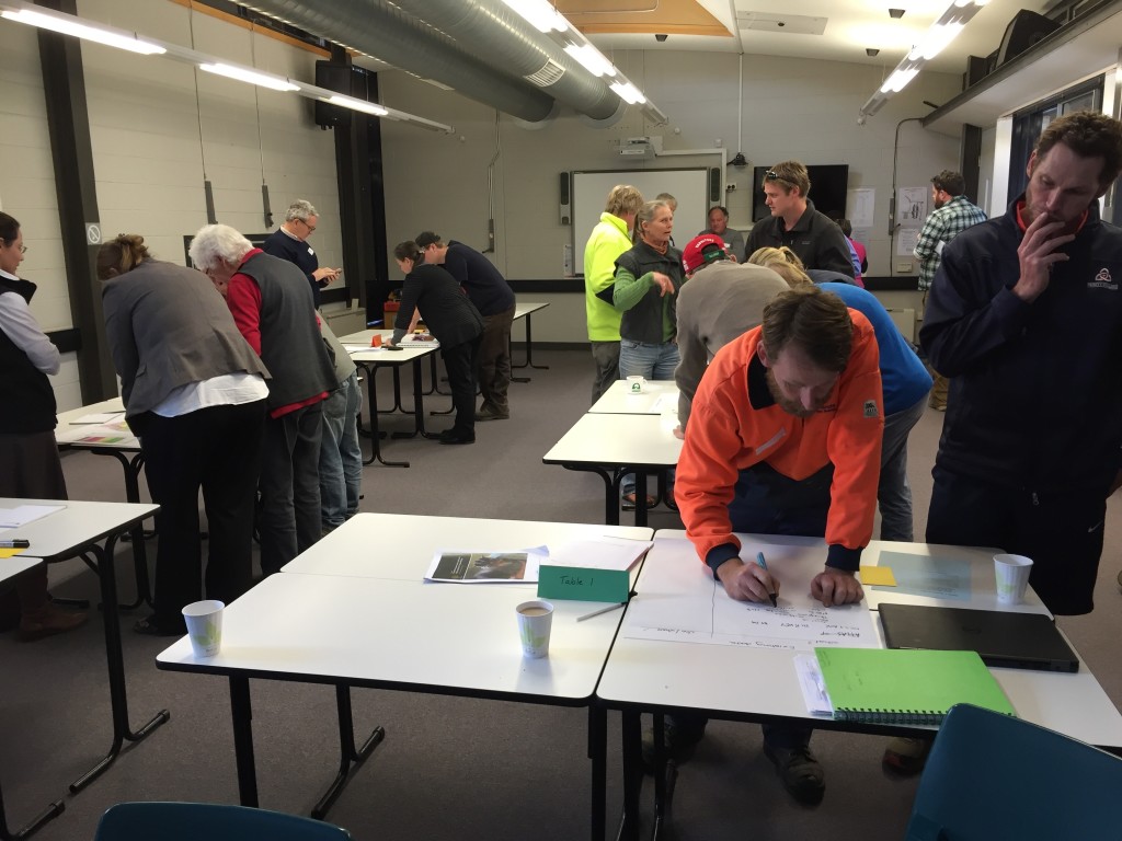 Facilitated group session at the Squirrel Glider Monitoring Plan Workshop