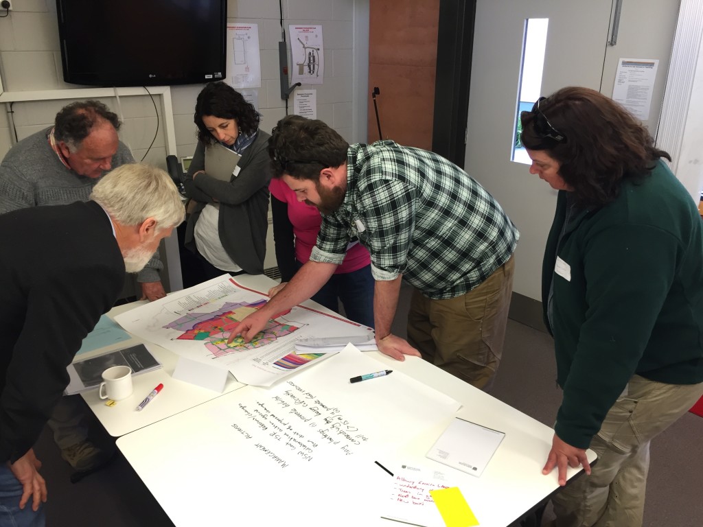 Facilitated group session at the Squirrel Glider Monitoring Plan Workshop