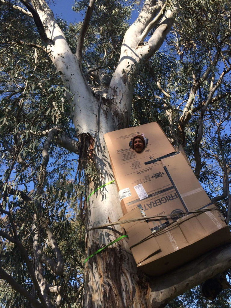 Nigel Jones sleeping in a gum tree in Thurgoona as part of his Edge Pledge challenge in 2016.