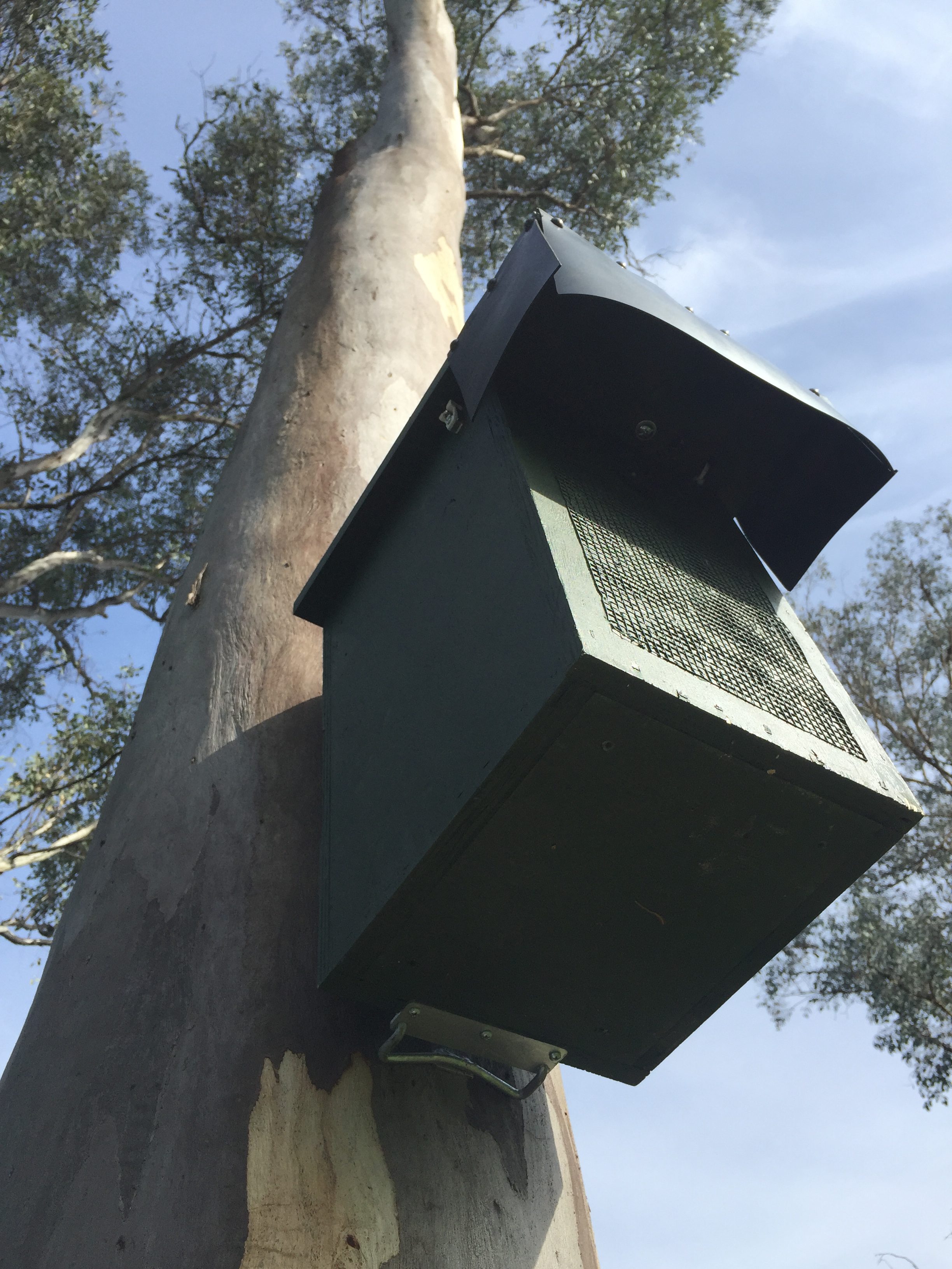 Nestbox constructed by Thurgoona Mens Shed for Squirrel Gliders in Thurgoona, NSW