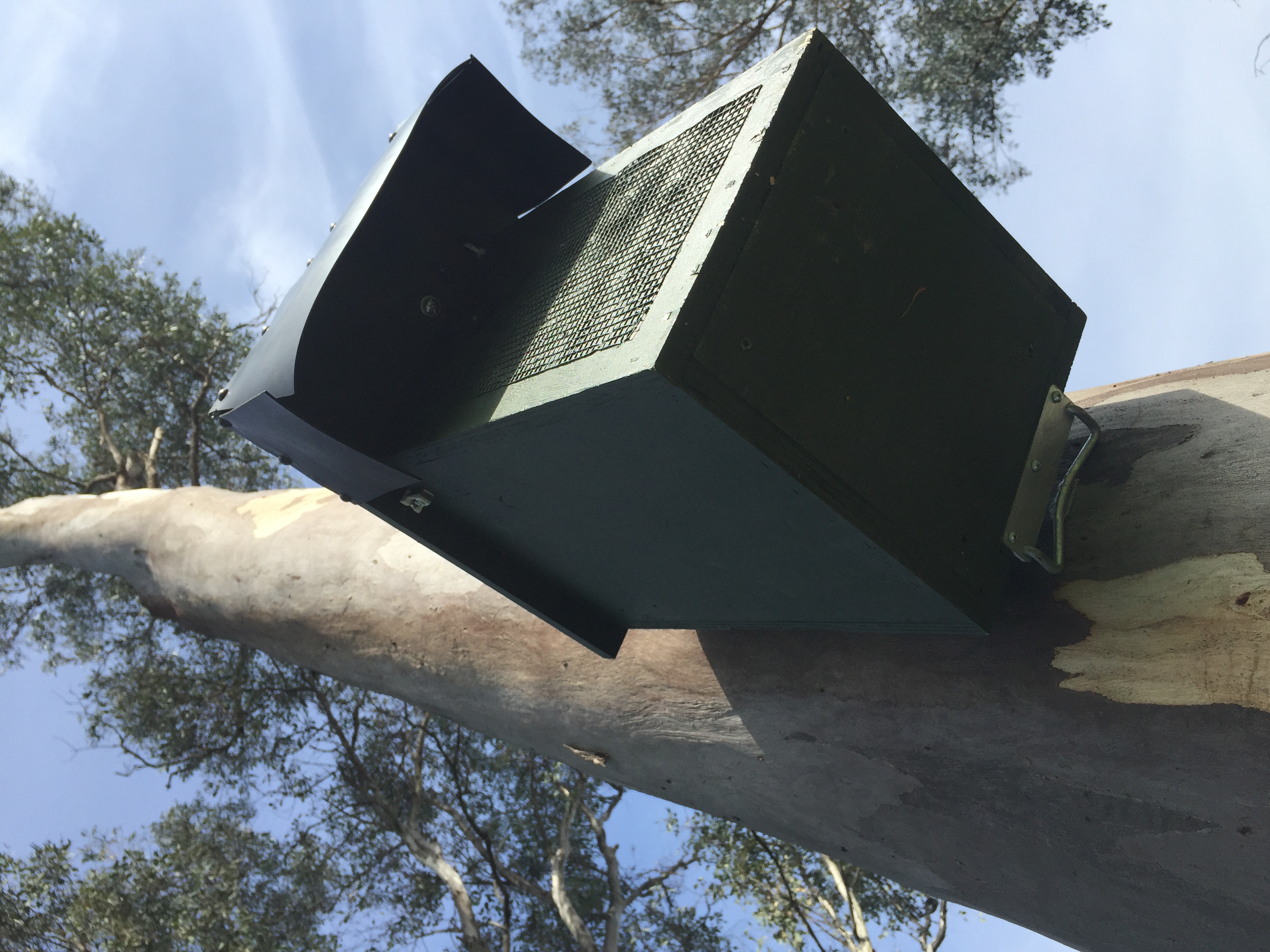 Nestbox constructed by Thurgoona Mens Shed for Squirrel Gliders in Thurgoona, NSW 