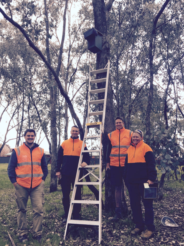Albury City Council staff (L to R - Matthew, Peter, Brendan, Louise) installing 'Edge Pledge' nest boxes for Squirrel Gliders in Thurgoona. 42 nest boxes were built by Thurgoona Men's Shed with funds donated to Albury Conservation Company's 2016 Edge Pledge campaign (14th Sept 2017).