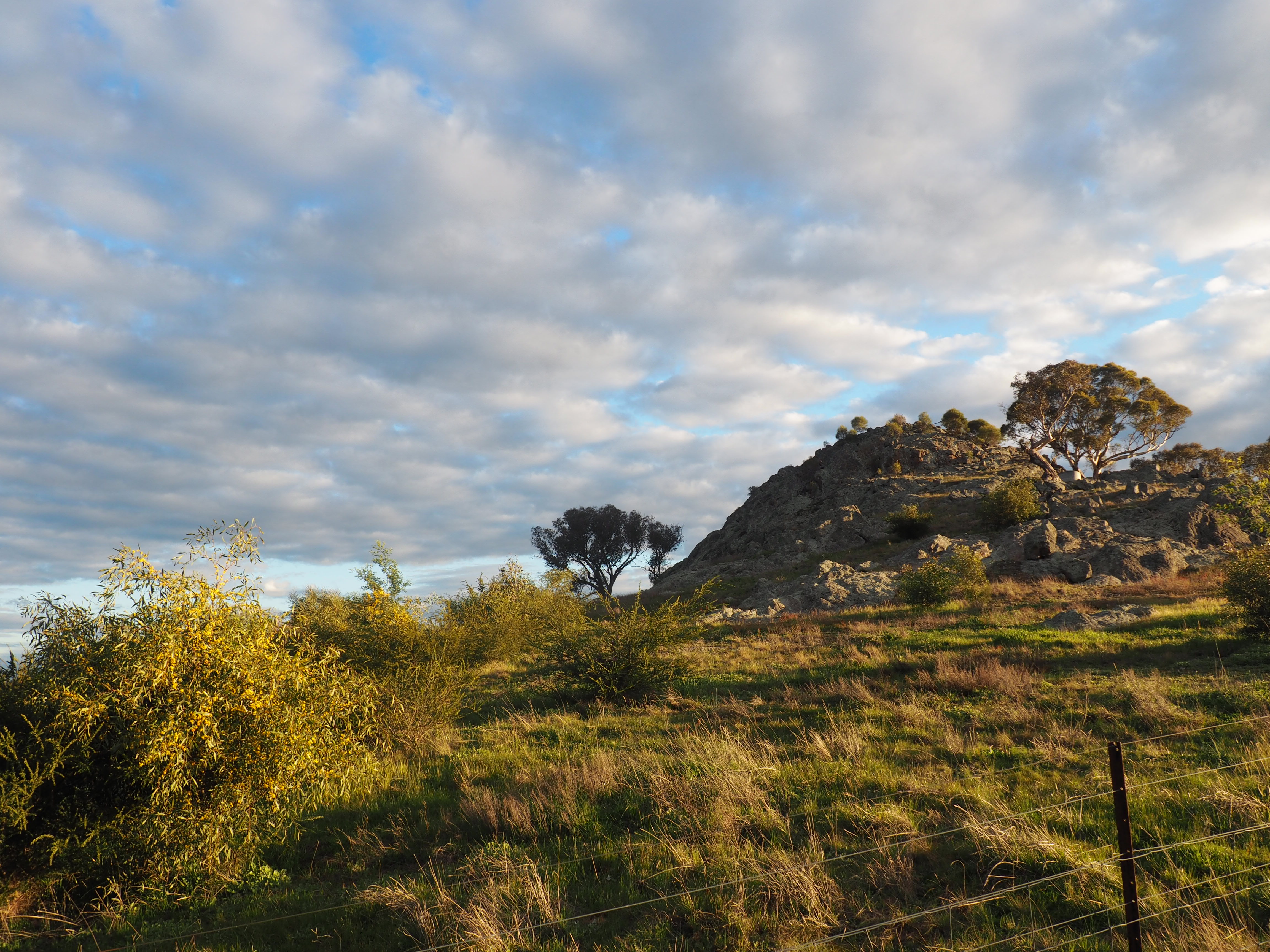 Eastern side of Little Budginigi Hill, Tabletop NSW (Sept 2017)