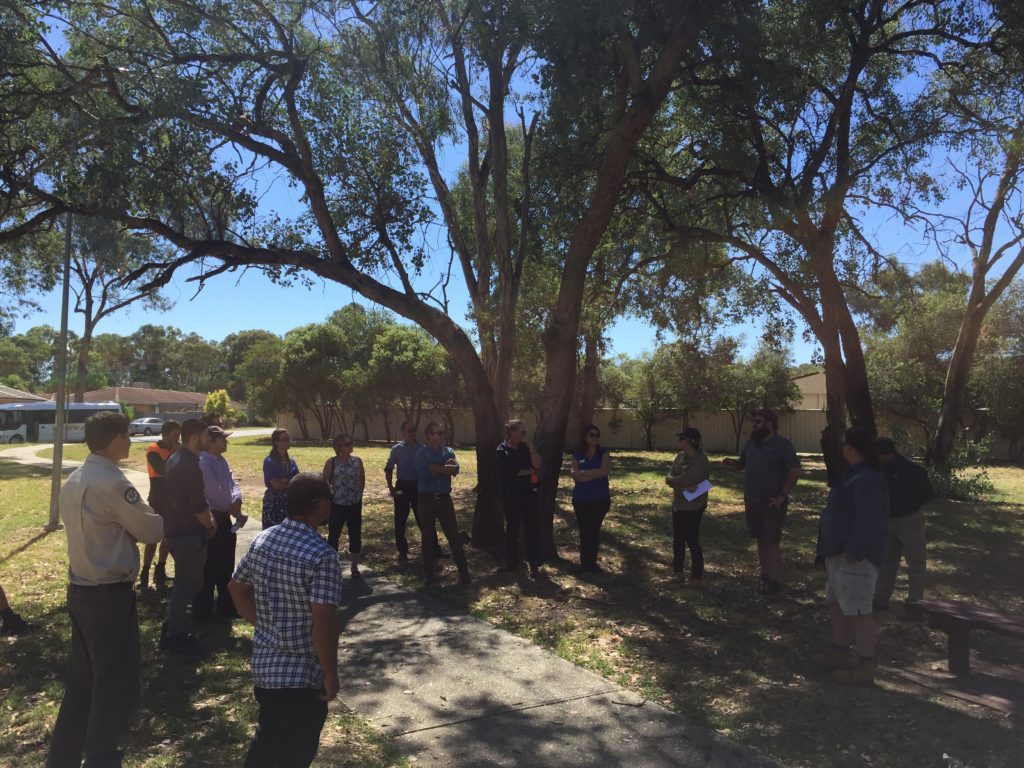 Hollow-bearing Tree (HBT) workshop, Albury - site visits around Thurgoona / Wirlinga including Bishop's Walk Park. 