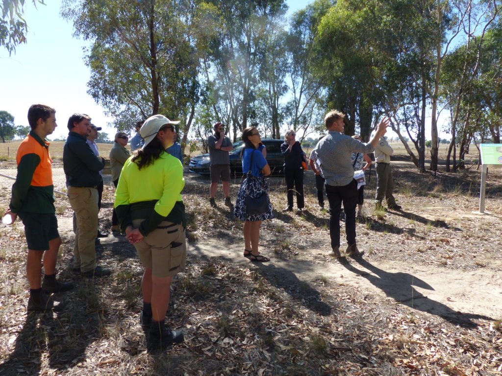 Hollow-bearing Tree (HBT) workshop, Albury - Site tour around Thurgoona / Wirlinga including Bells Travelling Stock Reserve at Table Top.