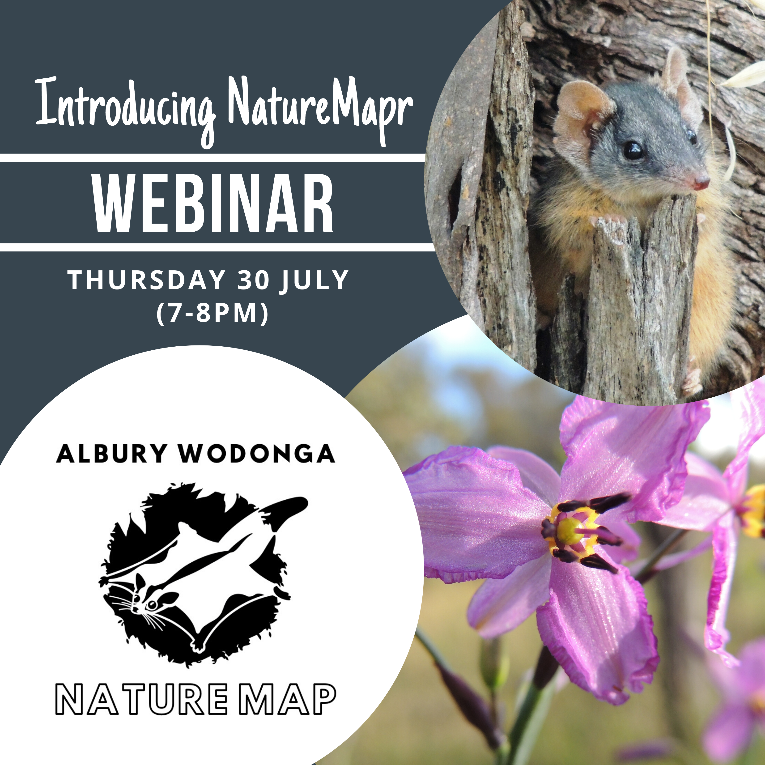 Introducing Nature Map webinar