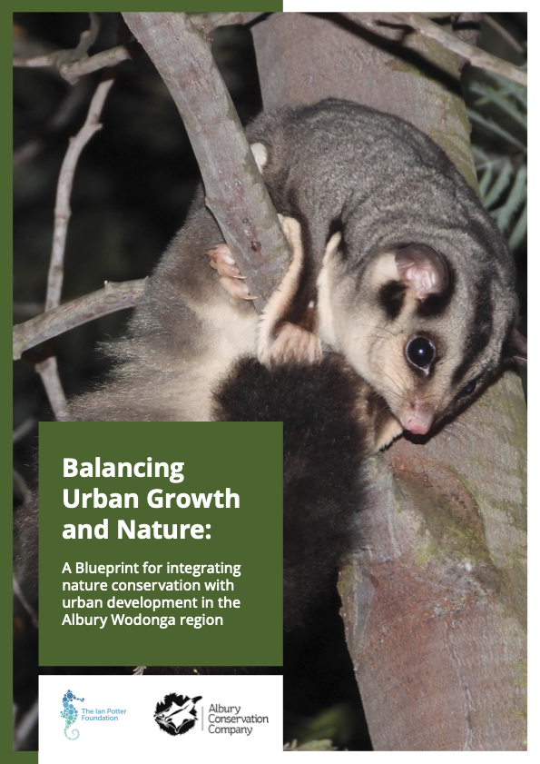 Balancing Urban Growth and Nature – The Blueprint